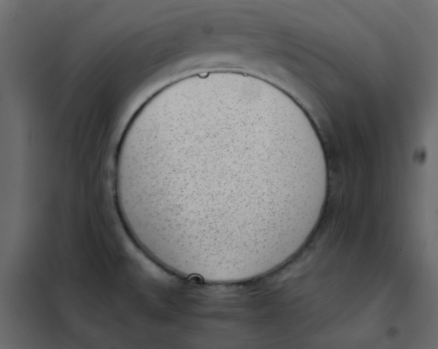 X0000101991527200808081622