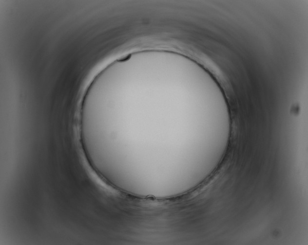 X0000101991528200808081622