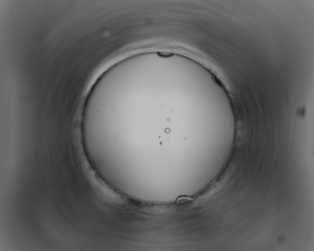 X0000101991530200808081622