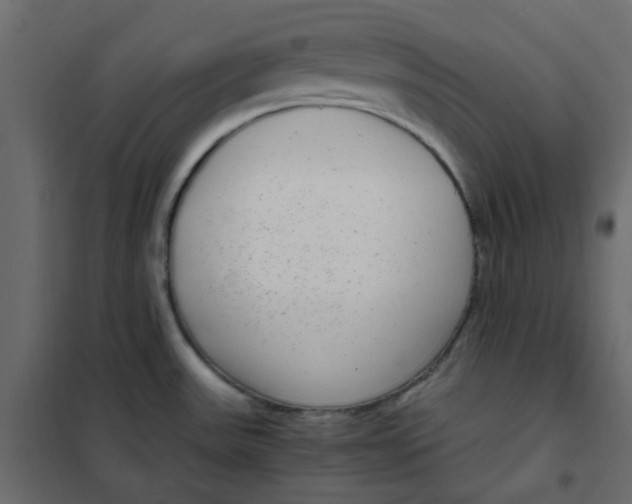 X0000101991531200808081622