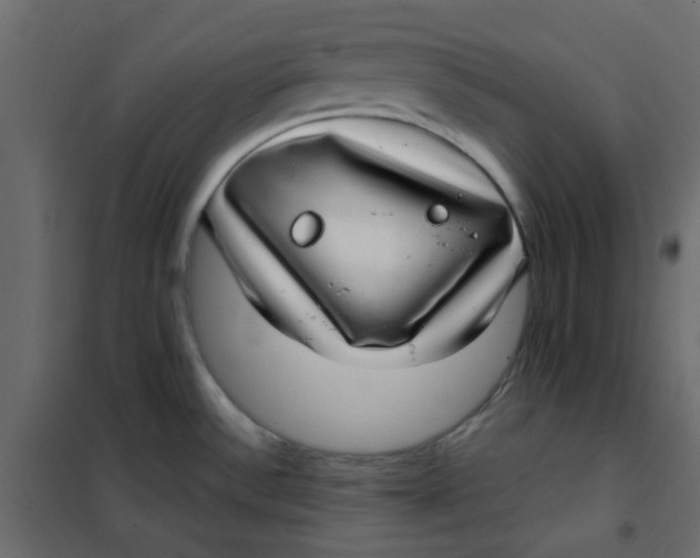 X0000101991532200808081622