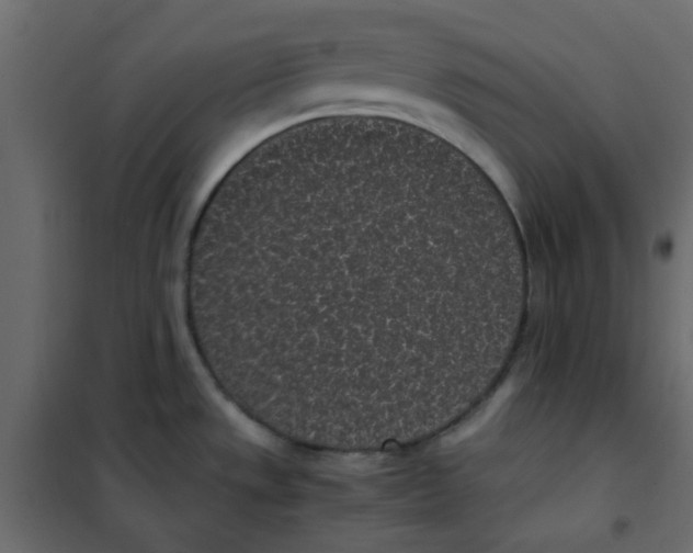 X0000101991533200808081622