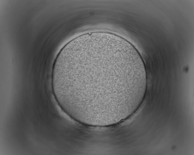 X0000101991534200808081622