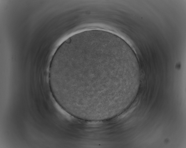 X0000101991535200808081622