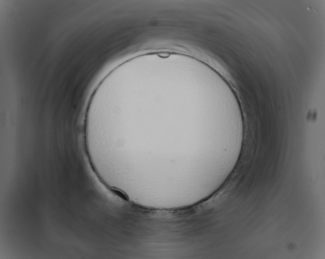 X0000101991536200808081622