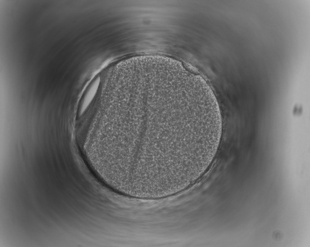 X0000101990002200808151435