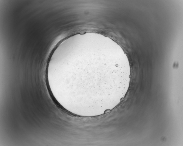X0000101990003200808151435