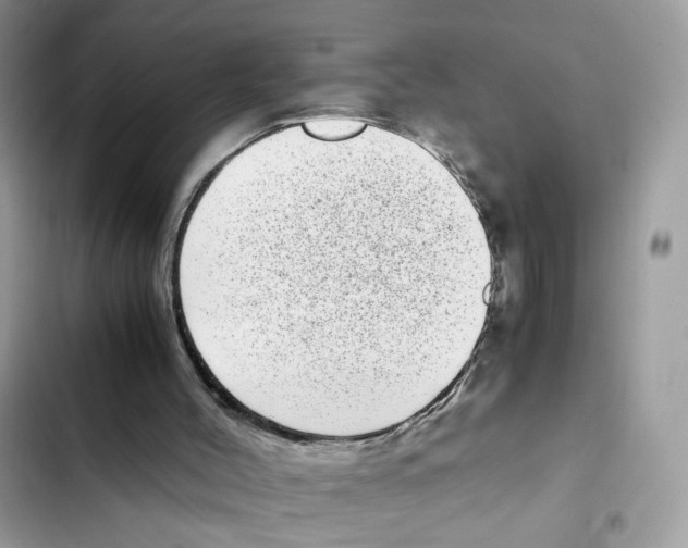 X0000101990004200808151435