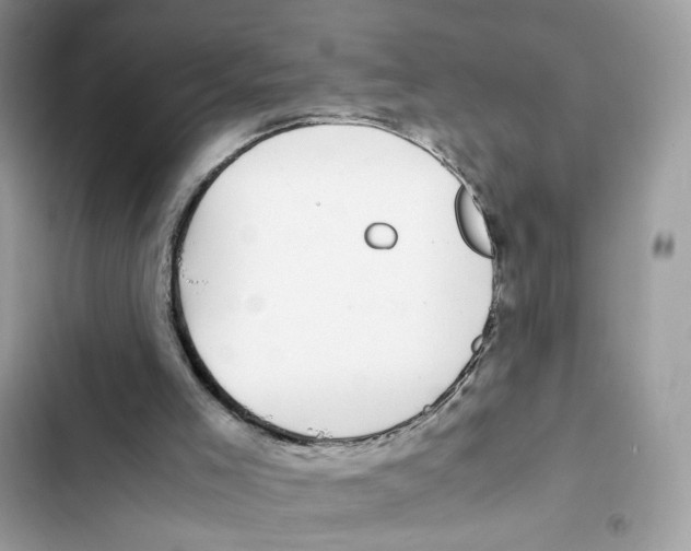 X0000101990005200808151435