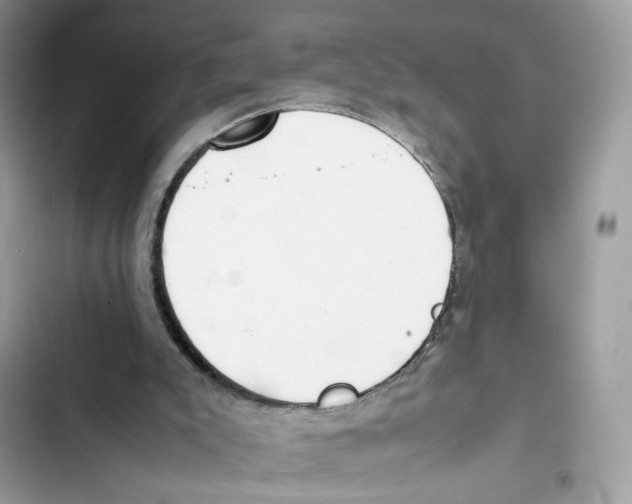 X0000101990007200808151435