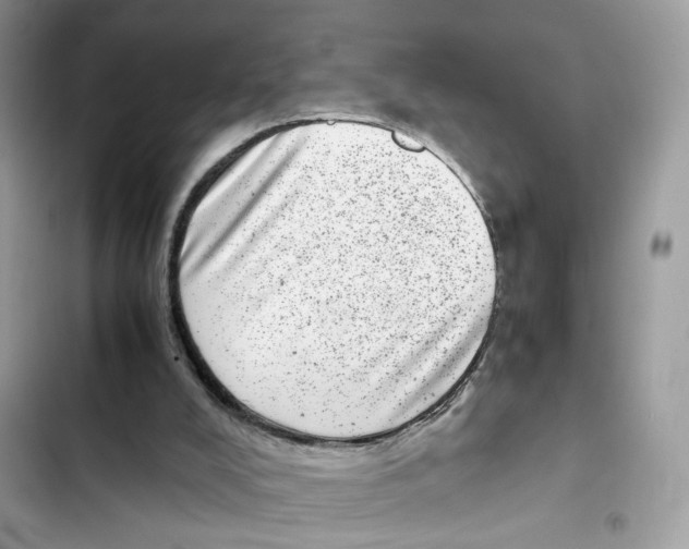 X0000101990008200808151435