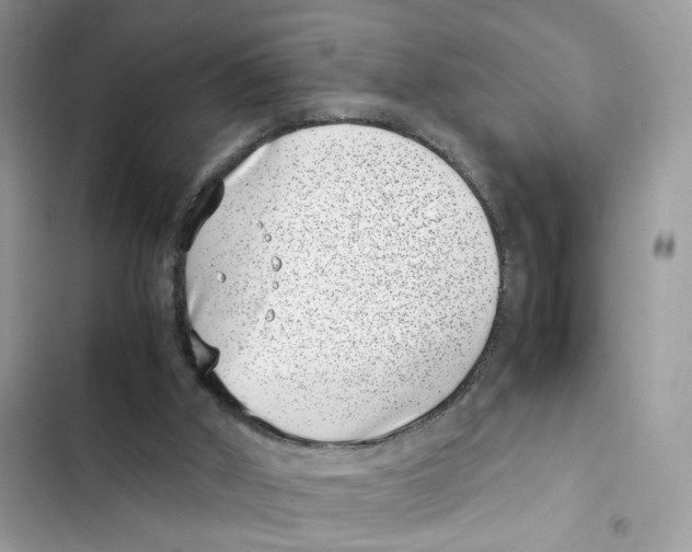 X0000101990010200808151434