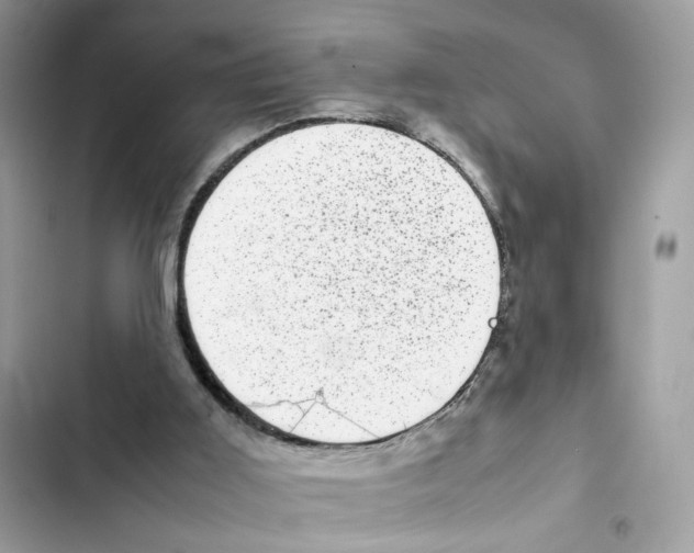 X0000101990011200808151434