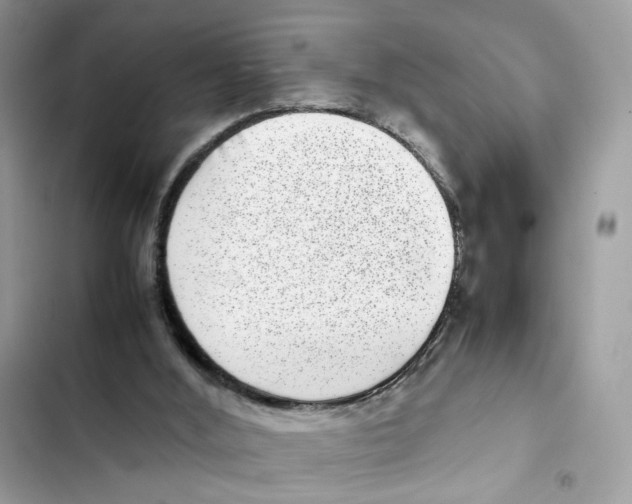 X0000101990012200808151434