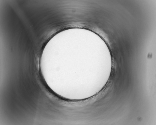 X0000101990013200808151434