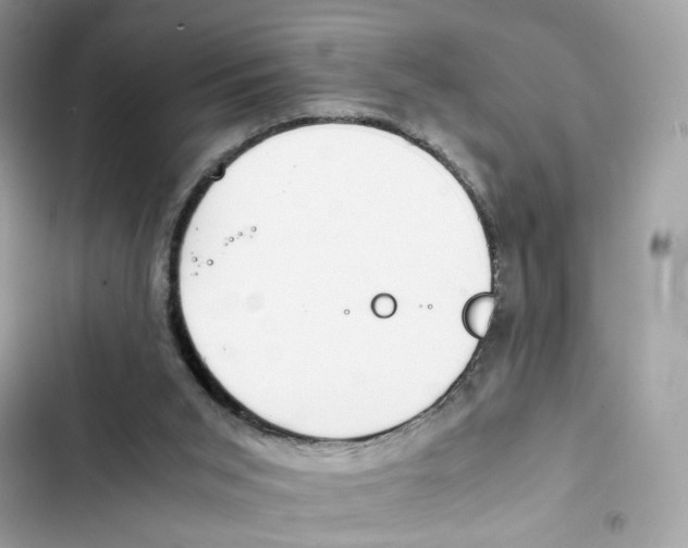 X0000101990015200808151434