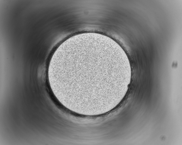 X0000101990016200808151434