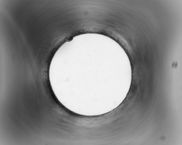 X0000101990017200808151434
