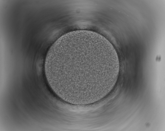X0000101990018200808151434