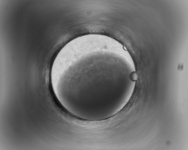 X0000101990019200808151434