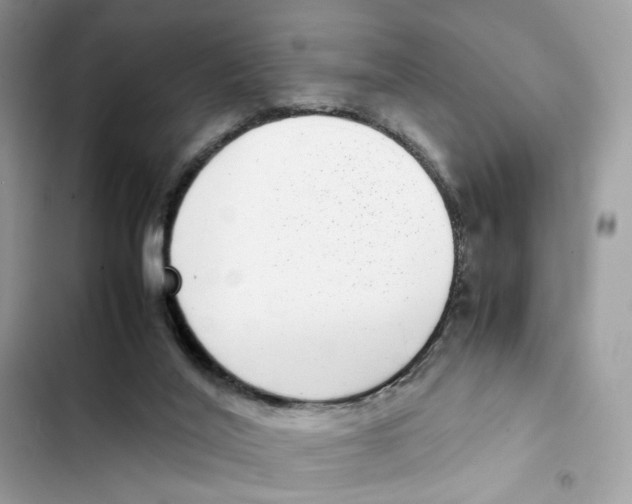 X0000101990020200808151434