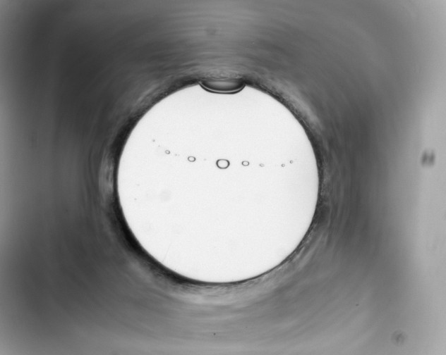 X0000101990021200808151434