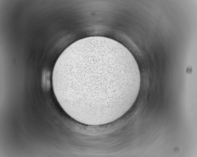 X0000101990022200808151434