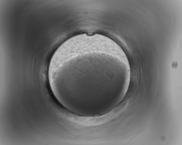 X0000101990023200808151434