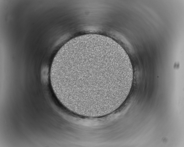X0000101990024200808151434