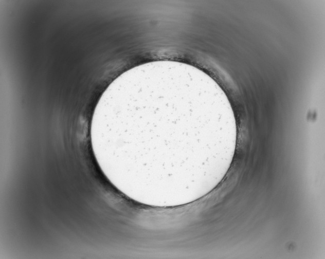 X0000101990025200808151434