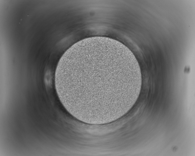 X0000101990026200808151434