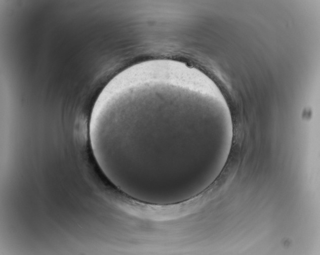 X0000101990027200808151434