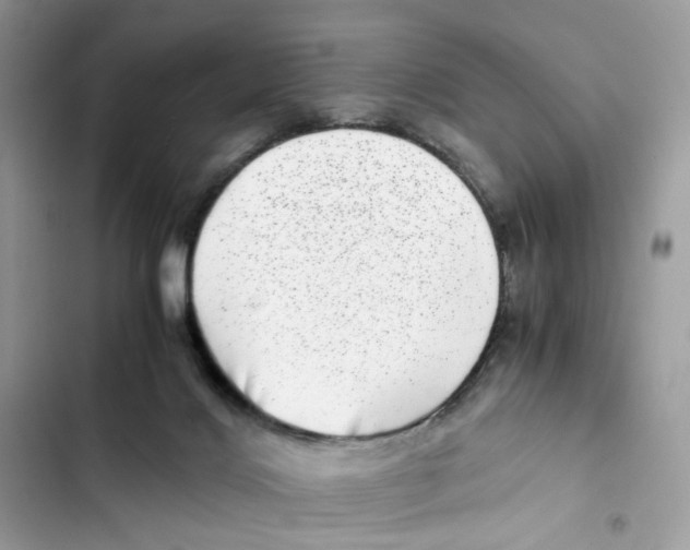 X0000101990028200808151434