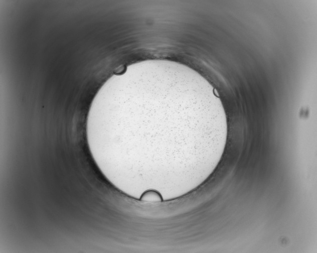 X0000101990030200808151434