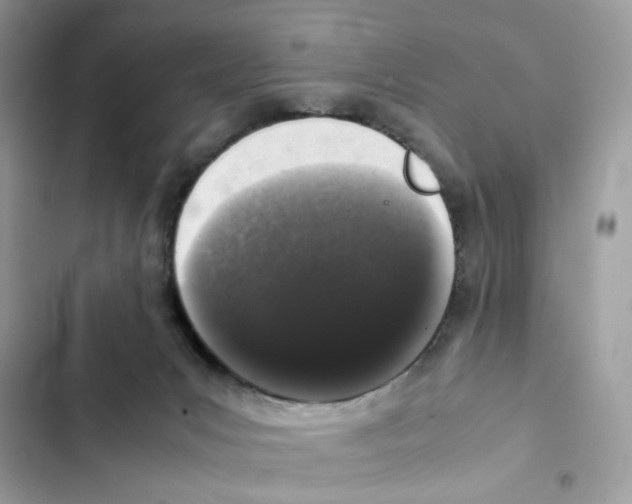 X0000101990031200808151434