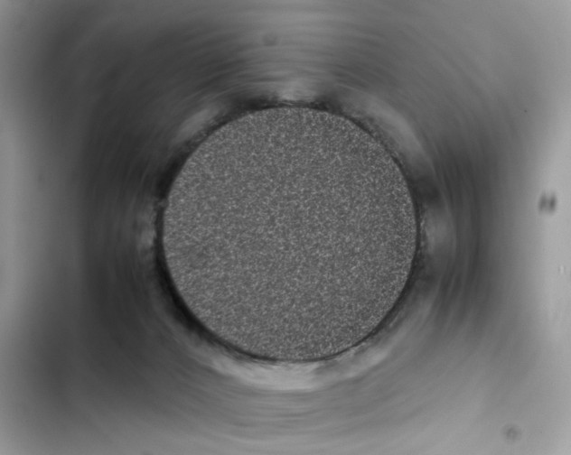 X0000101990032200808151434