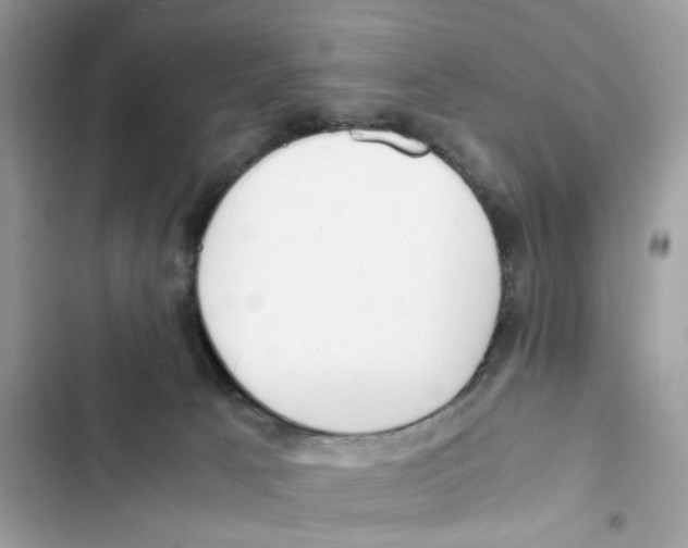 X0000101990033200808151434