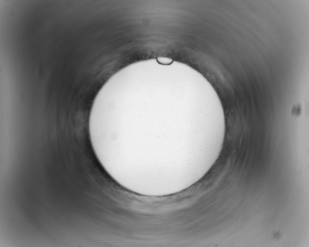 X0000101990034200808151434