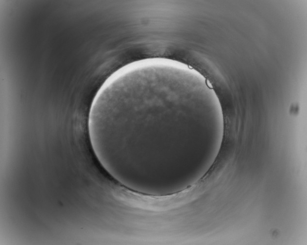 X0000101990035200808151434