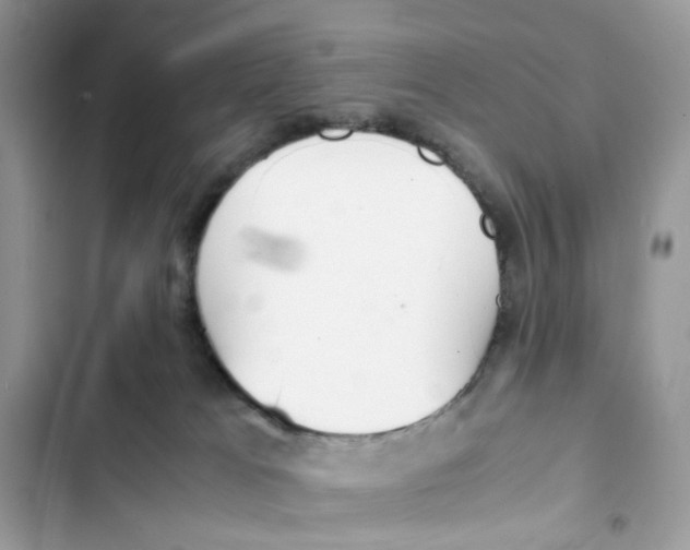X0000101990037200808151434