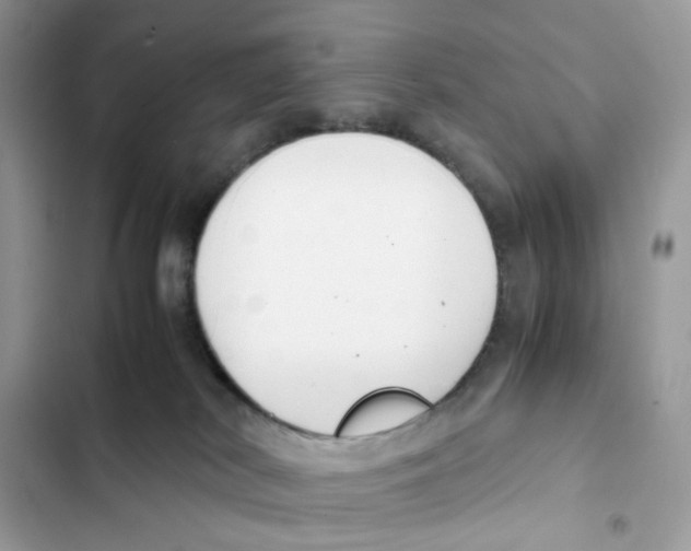 X0000101990038200808151434