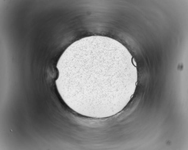 X0000101990040200808151434