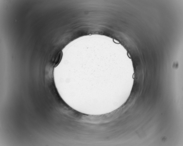 X0000101990041200808151434