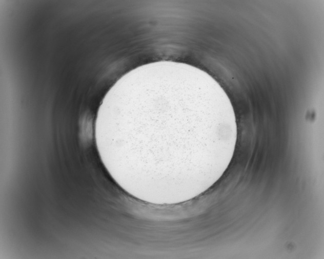 X0000101990042200808151434