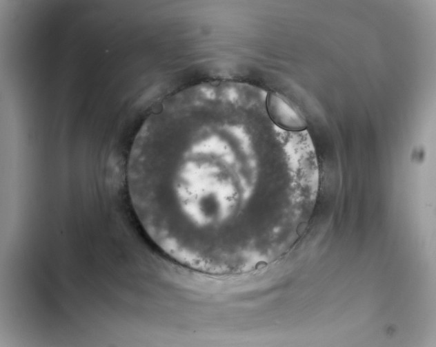 X0000101990043200808151434