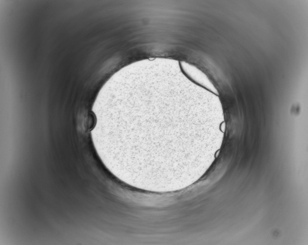 X0000101990044200808151434