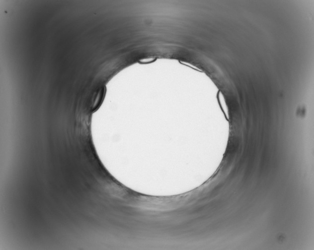 X0000101990045200808151434