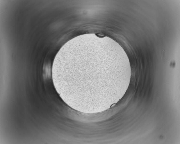 X0000101990046200808151434