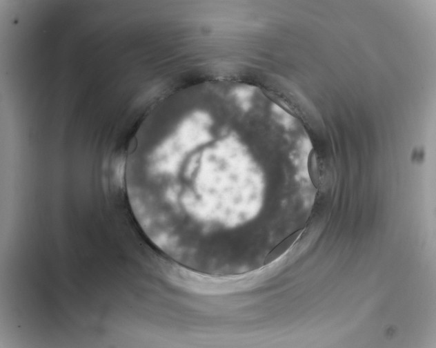 X0000101990047200808151434