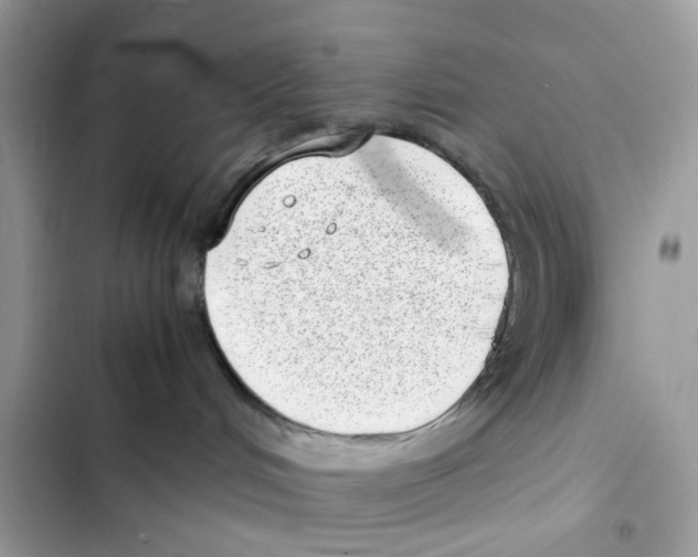 X0000101990048200808151434